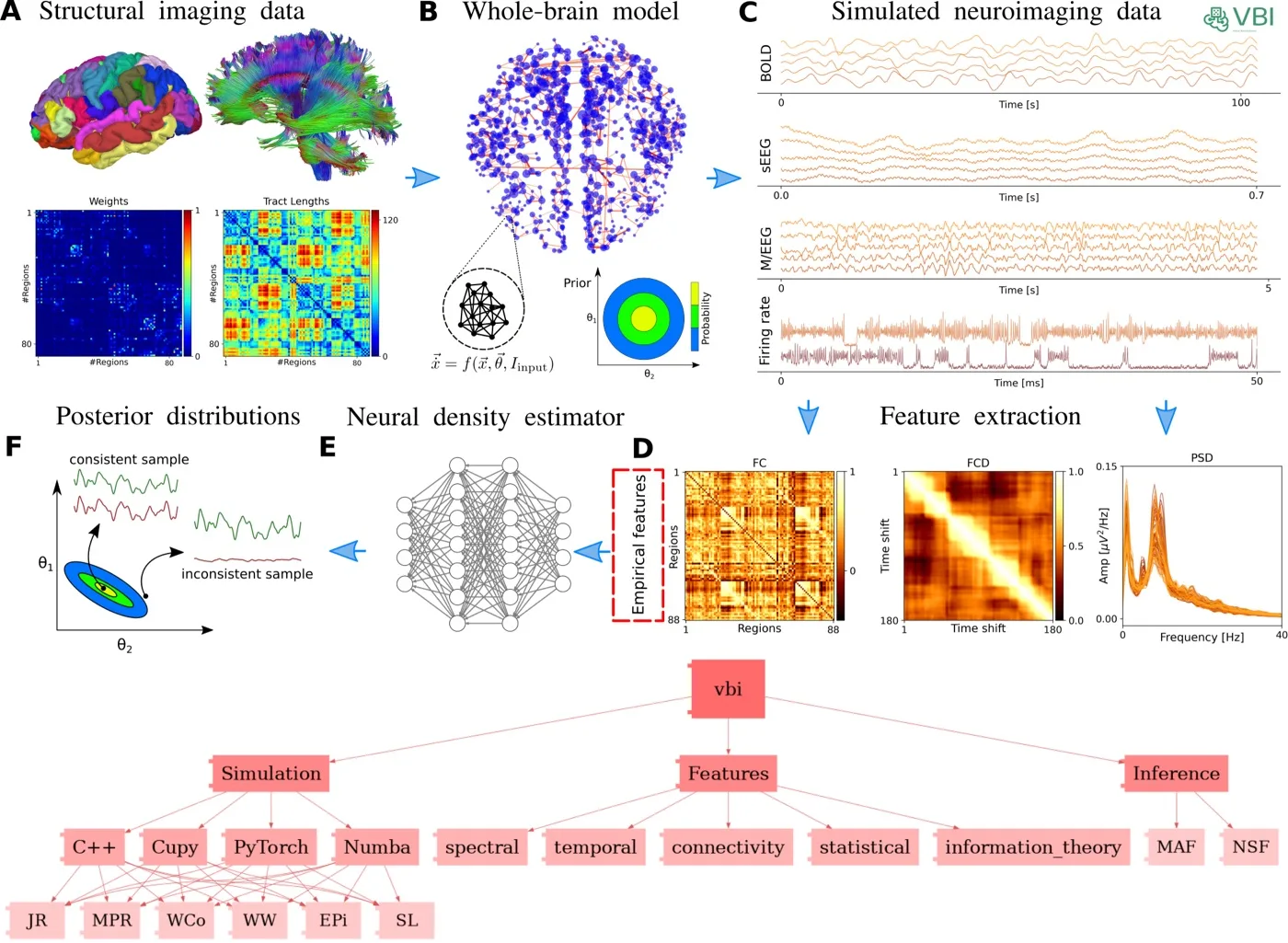 VBI workflow: structural brain data and a model feed a simulator; features of the simulated data train a neural density estimator that returns a posterior over model parameters.